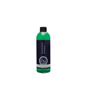 Nanolex - Reactivating Shampoo